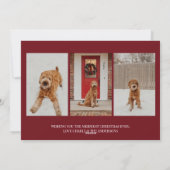 モダンなクリスマスの犬の写真 シーズンカード (裏面)