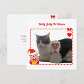 モダンなクリスマスエルフとカスタム猫の写真 (正面/裏面)