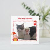 モダンなクリスマスエルフとカスタム猫の写真 (スタンド正面)
