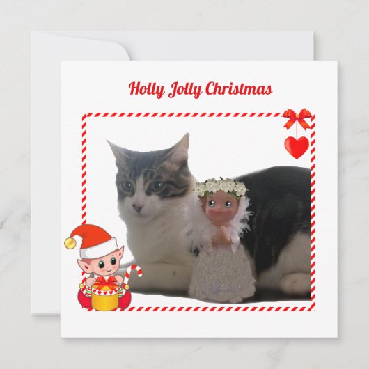 モダンなクリスマスエルフとカスタム猫の写真 (正面)