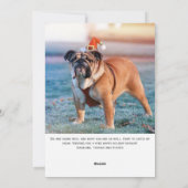 モダンなスクリプト写真ペット ハッピー パウリデイズ シーズンカード (裏面)