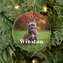 モダンなペットの名前の写真の休日 セラミックオーナメント