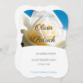 モダンなホワイトローズのウェディング・セーブ・ザ・デート 招待状 (正面/裏面)