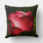 モダンなポップアート クッション (裏面)