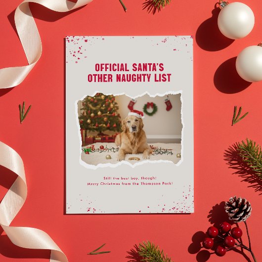 モダンなユーモアあふれる犬の写真クリスマス シーズンカード