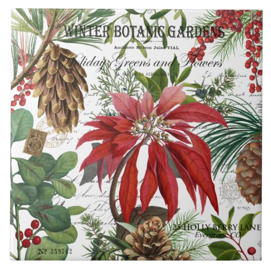 モダンなヴィンテージのウィンターガーデンの花柄 タイル (正面)