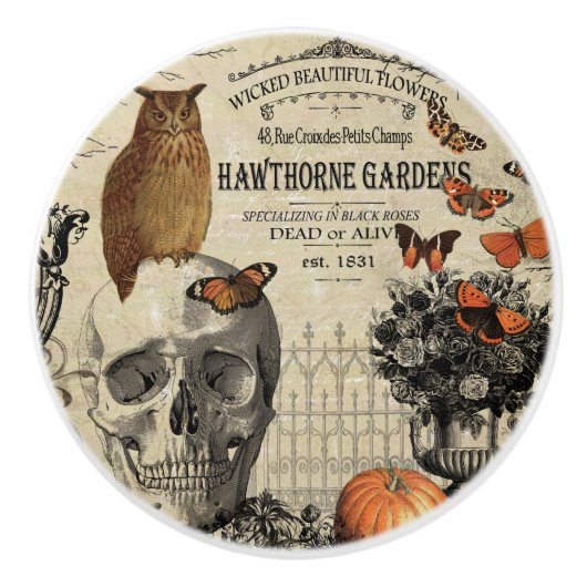 モダンなヴィンテージのハロウィンのフクロウおよびスカル セラミックノブ (正面)