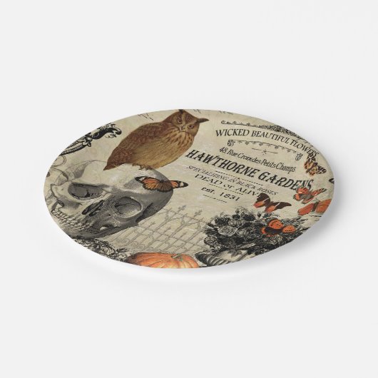モダンなヴィンテージのハロウィンのフクロウおよびスカル ペーパープレート (アングル)