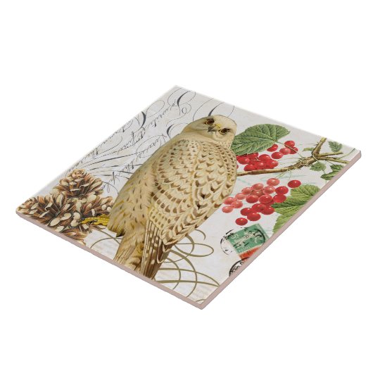 モダンなヴィンテージのフランスのな冬のフクロウ タイル (側面)