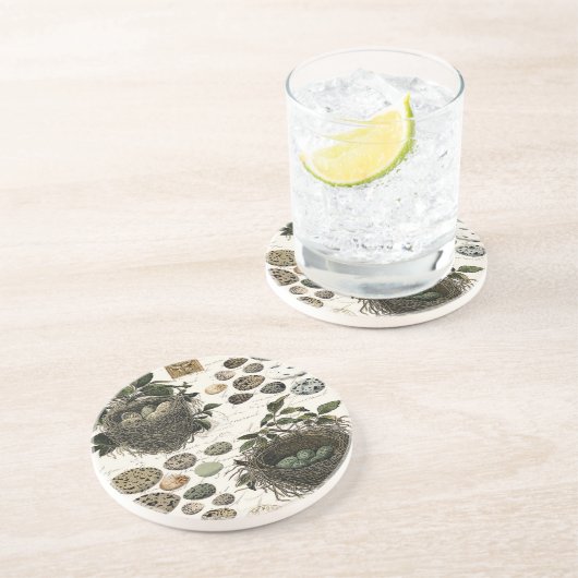 モダンなヴィンテージのフランスのな鳥の巣および卵 コースター (側面)