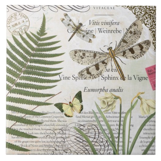 モダンなヴィンテージのフランス人のトンボ タイル (正面)