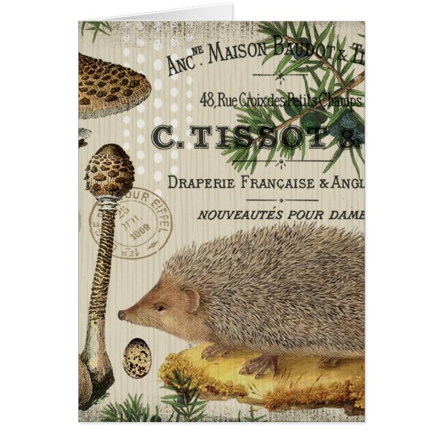 モダンなヴィンテージの森林ハリネズミ (正面)