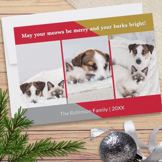 モダンな犬と猫の写真 ぺットに捧ぐユーモア クリスマス