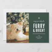 モダンな犬の写真コラージュ クリスマス (正面)
