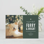 モダンな犬の写真コラージュ クリスマス (スタンド正面)