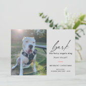 モダンな犬の鳴き声 ザ ヘアリー アングルズ シング フォト シーズンカード (スタンド正面)