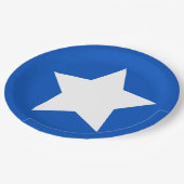 モダンな男女同権主義の記号のSuffragette ペーパープレート (アングル)