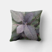 モダンな紫色賢人の庭のハーブの写真 クッション (裏面)