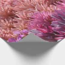 モダンな虹ピンクのオレンジ紫色のダリアの花