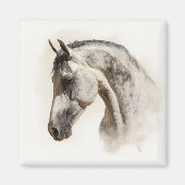 モダンな馬術　優雅なルシタノ馬 マグネット (正面)