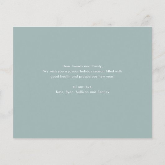 モダンな1枚の写真を使ったクリスマスホリデーカード ボールドで明るいフォントがカラフルに交互に並び、 (裏面)