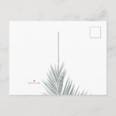 モダンほこりっぽい青いエレガントヤシの木 案内ポストカード (裏面)