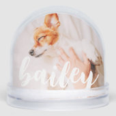 モダンよくはしゃぐシンプルエレガントChic Pet Photo (正面)