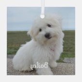 モダンよくはしゃぐシンプルエレガントChic Pet Photo ガラスオーナメント (裏面)