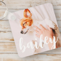 モダンよくはしゃぐシンプルエレガントChic Pet Photo