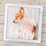 モダンよくはしゃぐシンプルエレガントChic Pet Photo シルバー ラペルピン<br><div class="desc">セリシンプルフタイポグラフィで構成され、ペットの写真をカスタム追加したクラシックデザイン。</div>