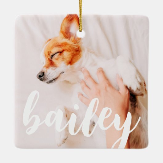 モダンよくはしゃぐシンプルエレガントChic Pet Photo セラミックオーナメント (裏面)