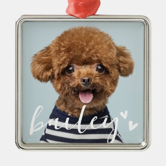 モダンよくはしゃぐシンプルハートシックなペットフォト メタルオーナメント (正面)
