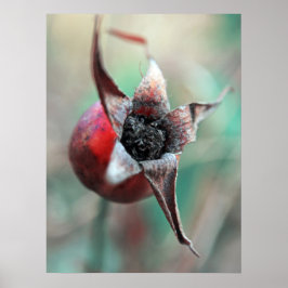 モダンエレガント抽象芸術バラお尻 ポスター