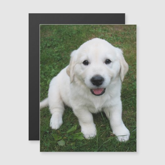 モダンカスタムシンプルPET写真冷凍機 (正面/裏面)