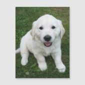 モダンカスタムシンプルPET写真冷凍機 (正面)