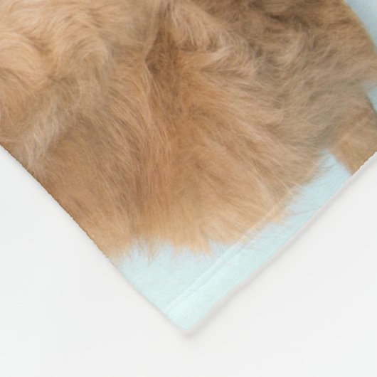 モダンカスタム家族の名前と写真 フリースブランケット (角)