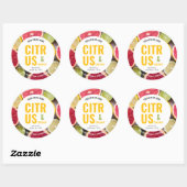 モダンカラフル体バタースクラブ製品ラベル ラウンドシール (シート)