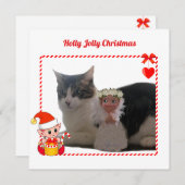 モダンクリスマス小妖精や小人とカスタム猫の写真 (正面/裏面)