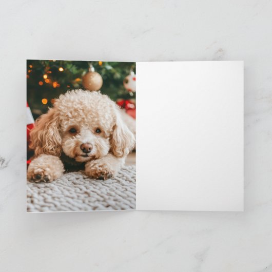 モダンクリスマス5フォトコラージュ赤い緑の折り畳み シーズンカード (内部)