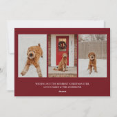 モダンゴールド メリー スクリプト フォト シーズンカード (裏面)