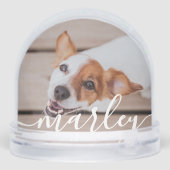 モダンシンプルよくはしゃぐエレガントシックなペット写真 (裏面)