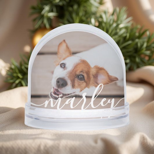 モダンシンプルよくはしゃぐエレガントシックなペット写真