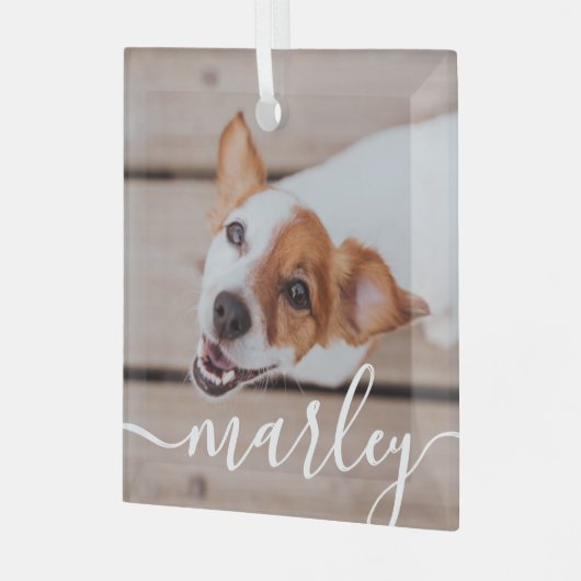 モダンシンプルよくはしゃぐエレガントシックなペット写真 ガラスオーナメント (正面左)