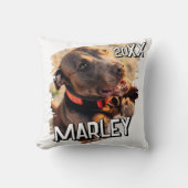モダンシンプルよくはしゃぐグランジカスタムPet写真 クッション (正面)