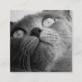 モダンシンプルドッグウォーカー スクエア名刺 (正面)