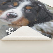 モダンシンプルパーソナライズされたペット犬の恋人 シェルパブランケット (3/4)