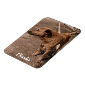 モダンシンプルペット写真 マグネット (左側)