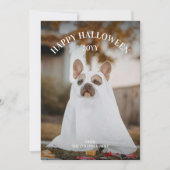 モダンシンプル不気味Petフォトハッピーハローウィン シーズンカード (正面)