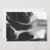 モダンシンプル白い写真卒業発表 招待状 (裏面)