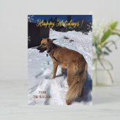 モダンスクリプト縦わんこ写真ホリデーカード 箔シーズンカード (立ち正面)